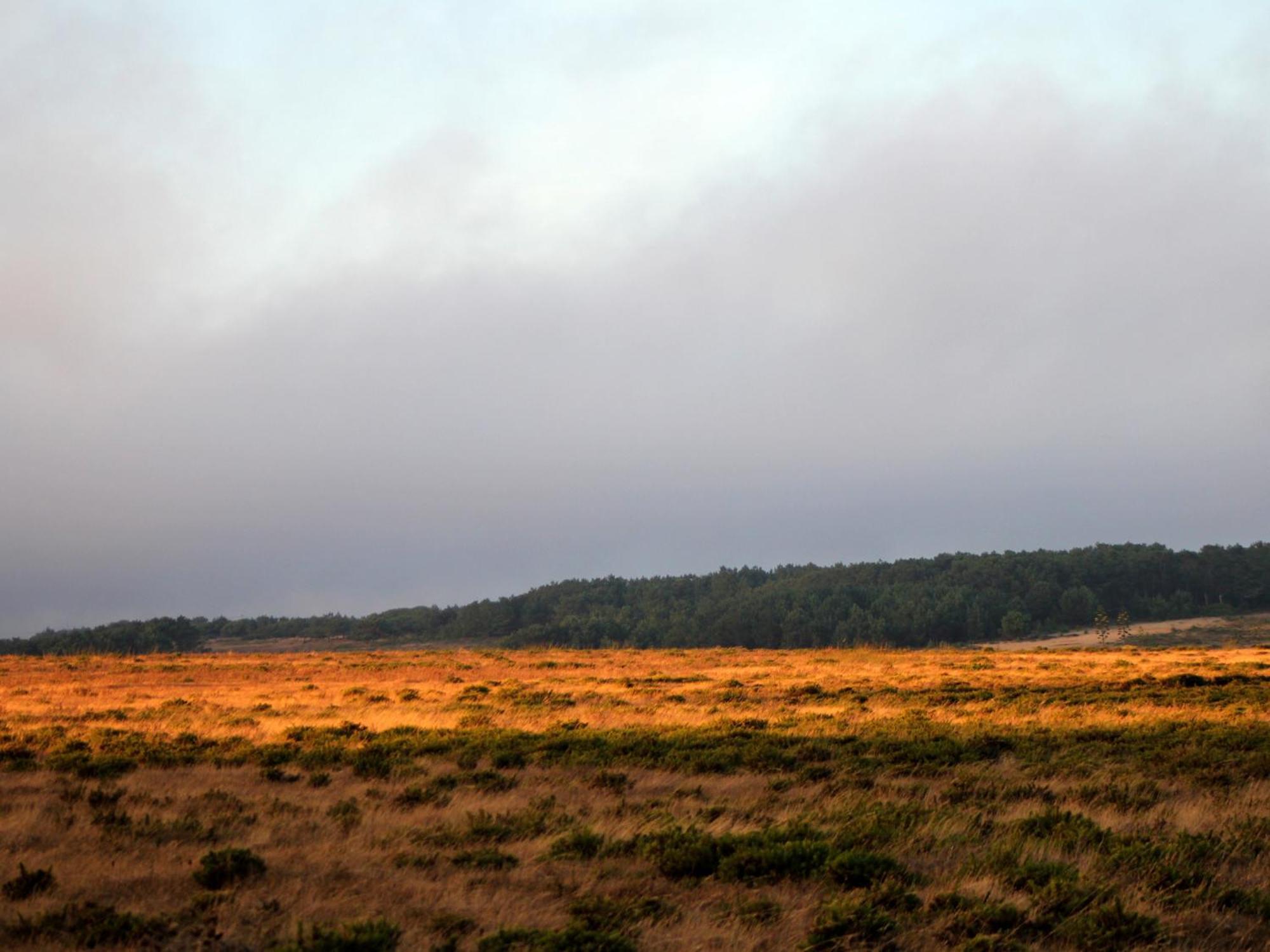 Monte de Santo Antonio - Turismo Rural Vila do Bispo Esterno foto